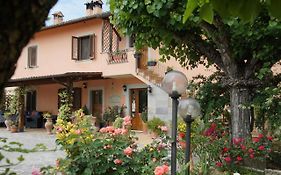 Agriturismo L'Ulivo in Fiore